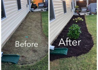 Best Mulching