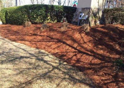 Best Mulching Service