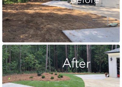 Grass Installation
