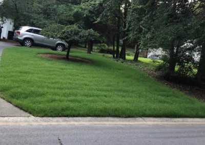 Landscaping Maintenance