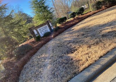 Landscaping Service