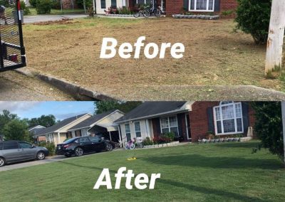 Lawn Care Service