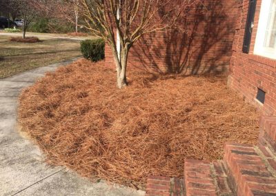 Mulching Service