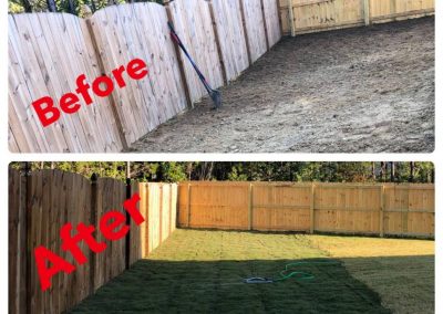Professional Grass Installation