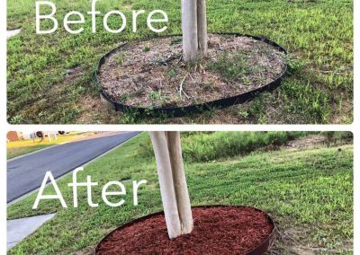 Reliable Mulching Service