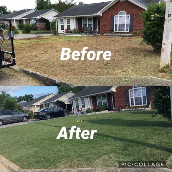 Grass Installation Grass Installation