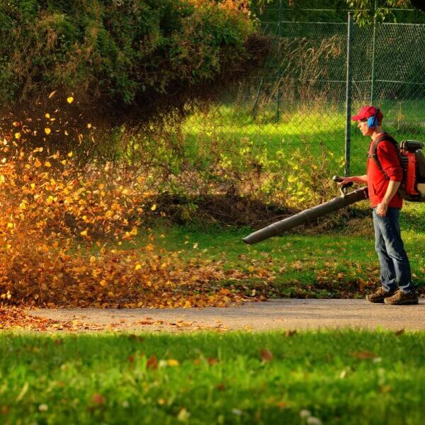 Leaf Blowing Leaf Blowing